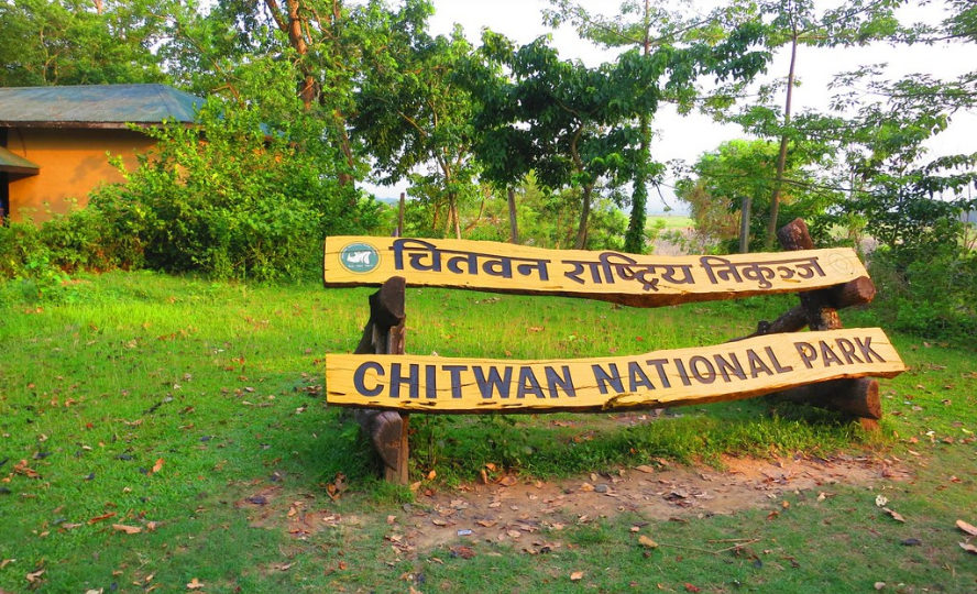 chitwan-national-park-jungle-safari-packages