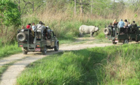 Chitwan National Park Jeep Safari