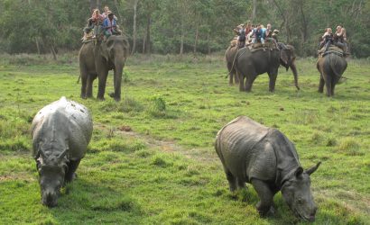Chitwan Jungle Safari Tour Cost